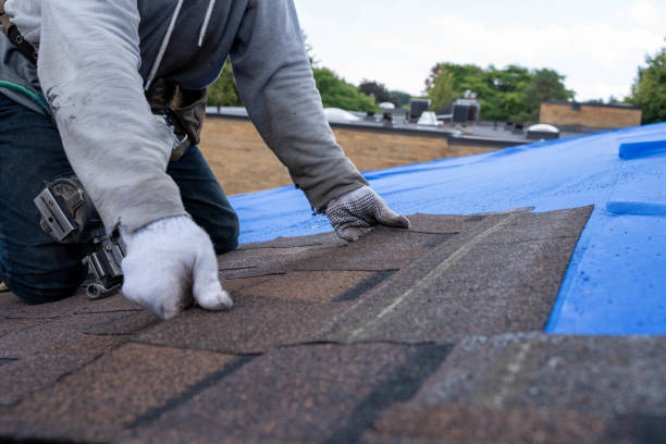 Best Residential Roofing Contractor  in Aho Falls, ID